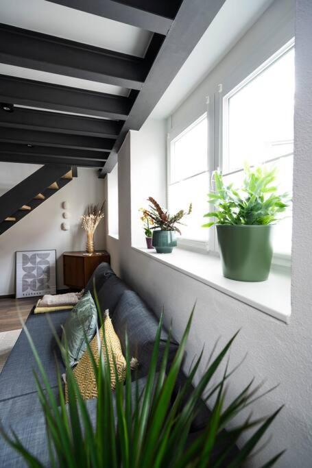 Apartment In Weinstadt-Schnait المظهر الخارجي الصورة